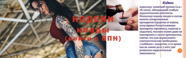 индика Бородино