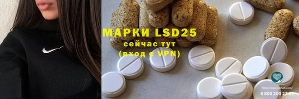 индика Бородино