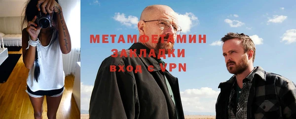 индика Бородино