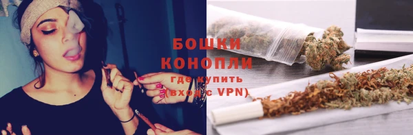 индика Бородино