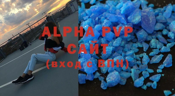 индика Бородино