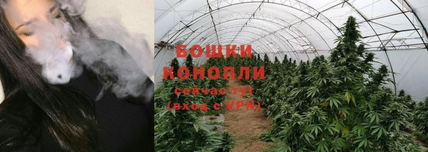 трава Богданович
