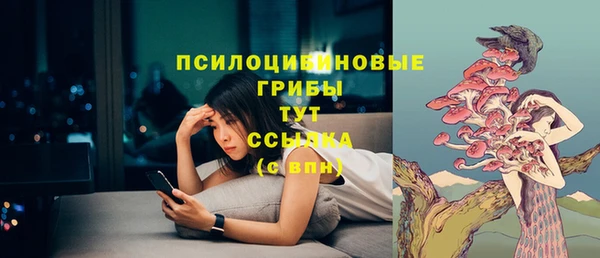 индика Бородино