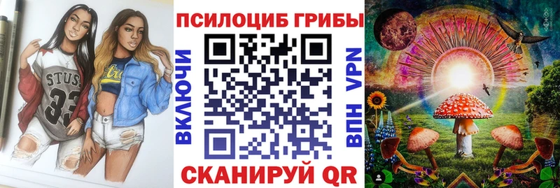 Псилоцибиновые грибы мицелий  Зима 