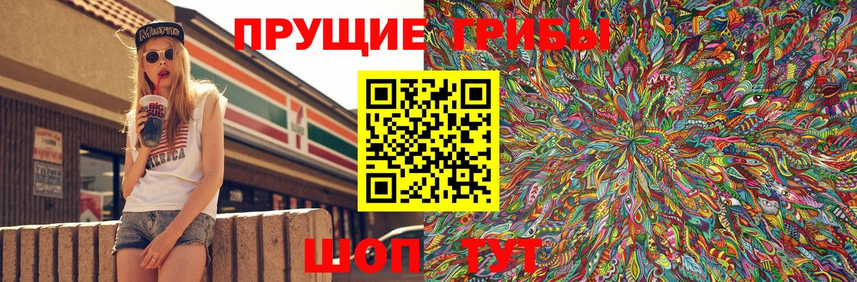 Зима  где купить наркоту  Галлюциногенные грибы GOLDEN TEACHER  Вход с VPN  Галлюциногенные грибы мухоморы 